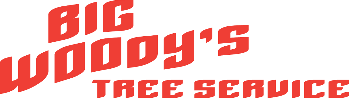 Big Woody's Chattanooga and Surrounding areas tree service, trimming, logo