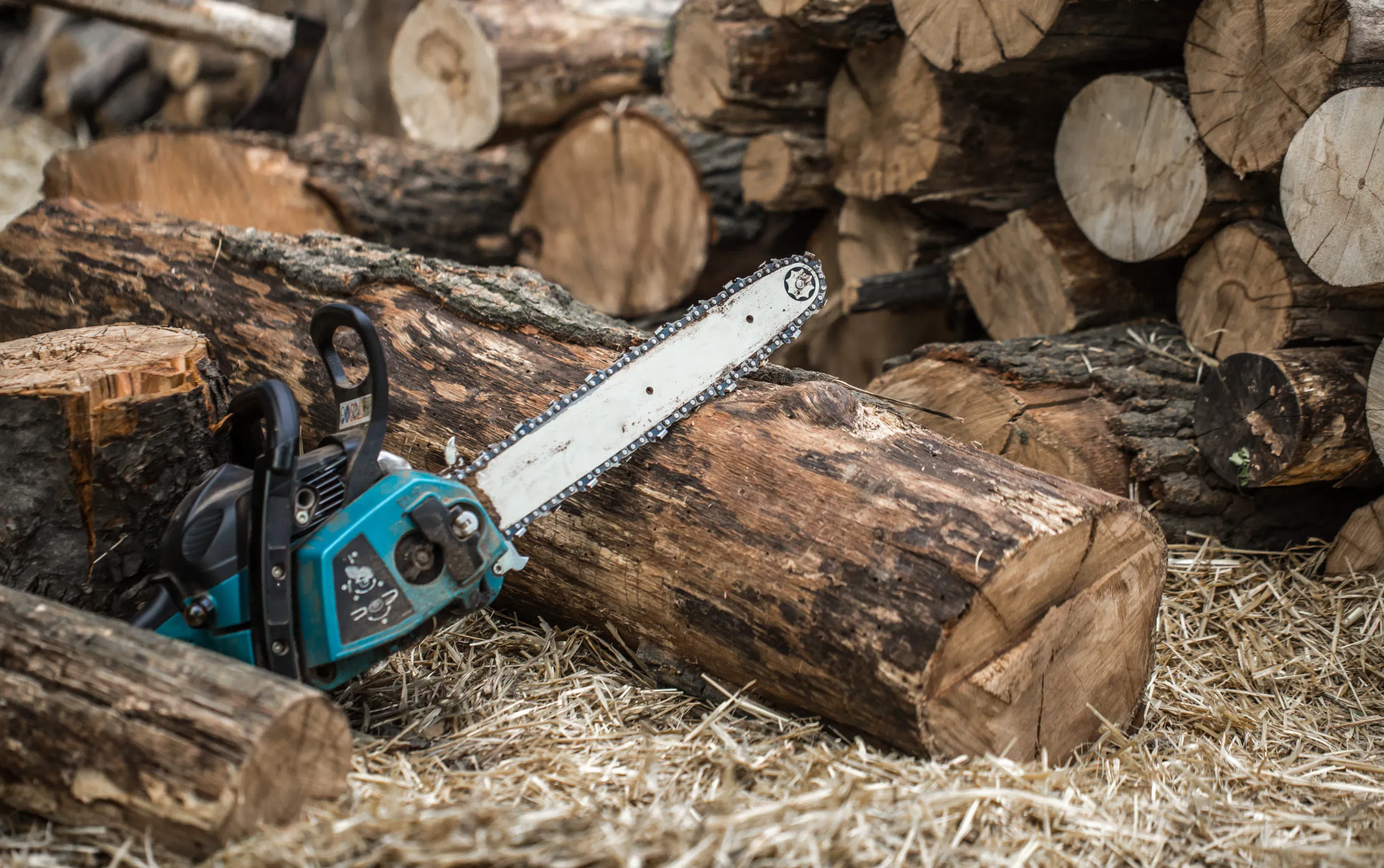A blue chainsaw rests against a large log, showing readiness for tree removal.