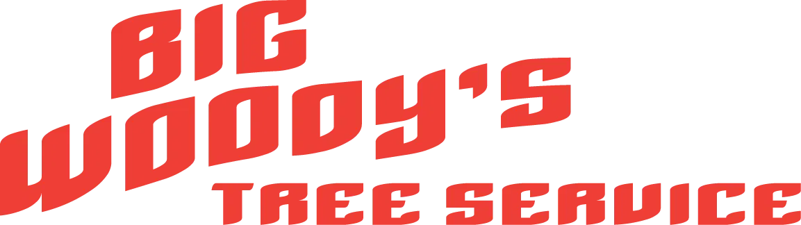 Do You Really Need a Licensed Arborist? Here's the Truth About DIY Tree Trimming in Chattanooga