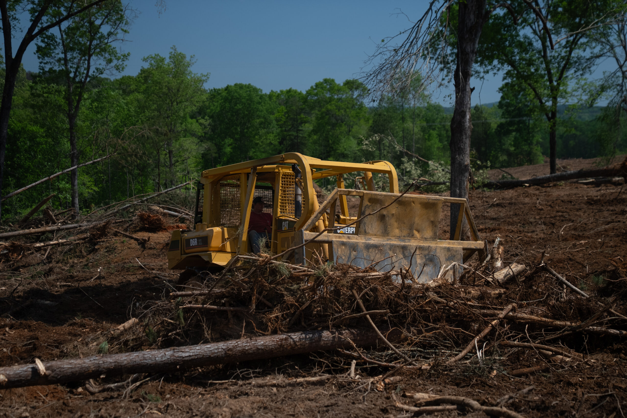 Stump Grinding & Removal
