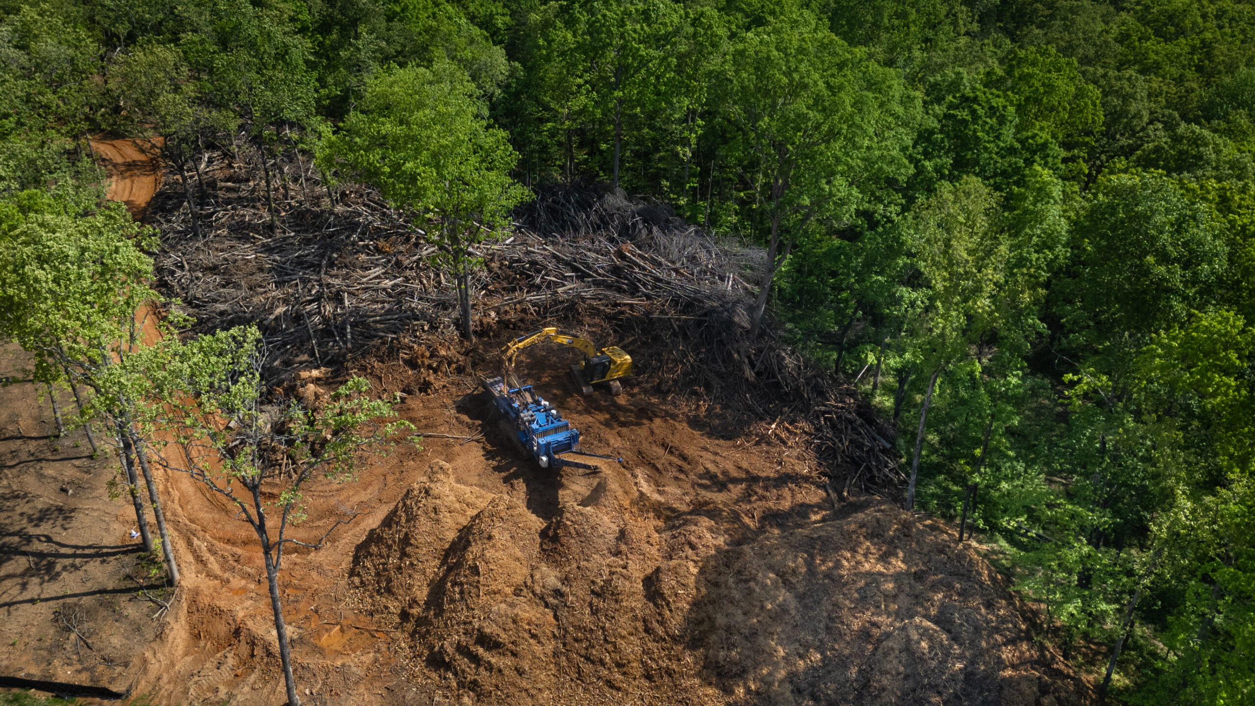 Land clearing project by Big Woody's
