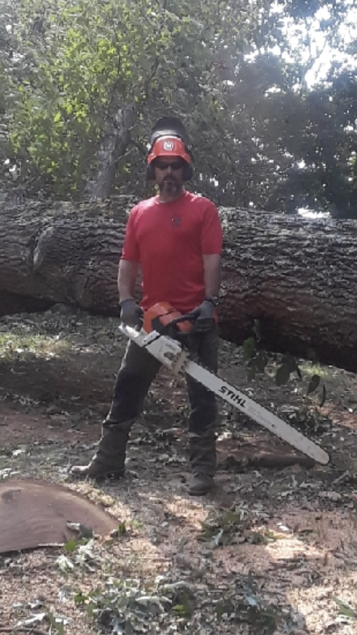 Owner of Big Woody's Tree Service Holding Chainsaw
