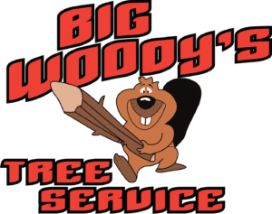 Big Woody's Tree Service