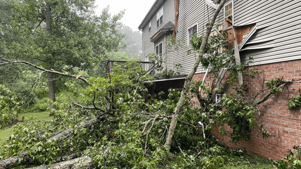 Emergency Storm Damage Response | (423) 510-WOOD